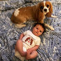 Best Friend Forever Personalised Dog Babygrow, thumbnail 3 of 12