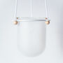 Orla, Hanging Glass Planter, Ideal For Orchids, thumbnail 10 of 12