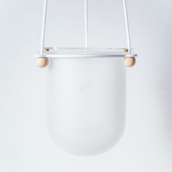 Orla, Hanging Glass Planter, Ideal For Orchids, 10 of 12