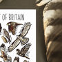 Birds Of Prey Of Britain Watercolour Postcard, thumbnail 5 of 8