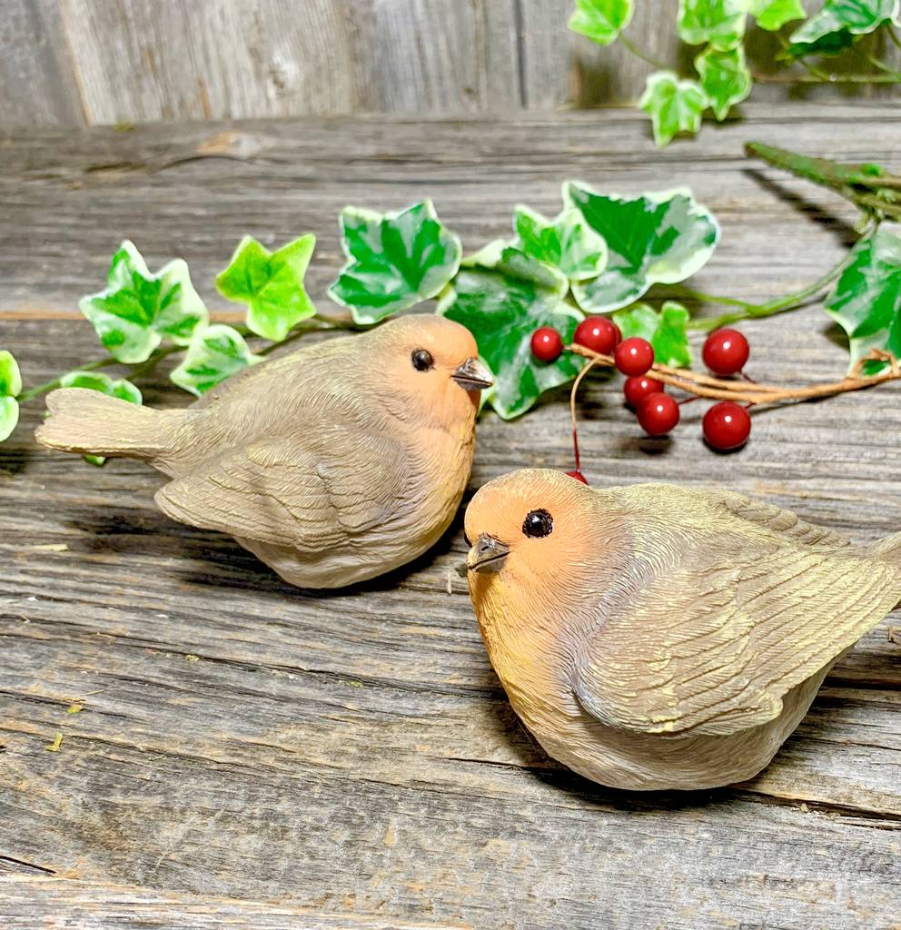 Pair Of Robins Ornament By London Garden Trading