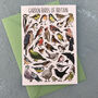 Garden Birds Of Britain Art Blank Greeting Card, thumbnail 5 of 11