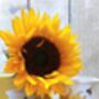 Sunny Sunflowers Gift Set, thumbnail 1 of 7