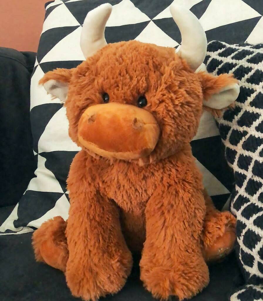 Large Scottish Highland Brown Cow Soft Toy, 1 of 7