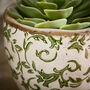 Irina Green Botanical Planter, thumbnail 4 of 6