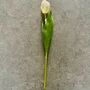 Artificial Light Pink Tulip Stem, thumbnail 4 of 5