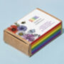 Pride Rainbow Wildflower Seed Balls Pack Of Three, thumbnail 2 of 11