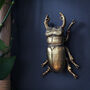 Gold Beetle Wall Ornaments, thumbnail 4 of 10