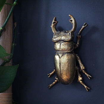 Gold Beetle Wall Ornaments, 4 of 10