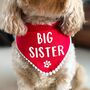 Big Brother Dog Bandana, thumbnail 2 of 7