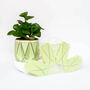 Origami Self Watering Eco Plant Pot: 10cm | Sage, thumbnail 5 of 6