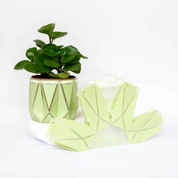 Origami Self Watering Eco Plant Pot: 10cm | Sage, 5 of 6