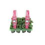 Cyclamen Mixed 6 Pack X2 12 Plants, thumbnail 1 of 6