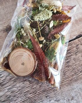 Flower Craft Pack Forest Mixed Dried Flowers, 2 of 2