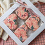 Pink Peonies Luxury Biscuits Gift Box, Eight Biscuits, thumbnail 2 of 10