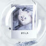 Sequin Personalised Pet Bauble, thumbnail 2 of 2
