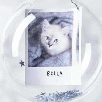 Sequin Personalised Pet Bauble, 2 of 2