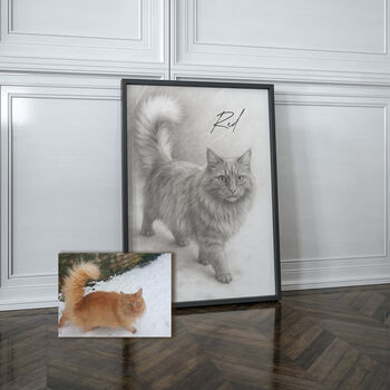 Personalised Black And White Pencil Sketch Pet Portrait, 4 of 7