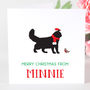 Personalised Cat Christmas Card, thumbnail 1 of 2