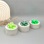 Green Succulent Candles In Handmade Concrete Pots, thumbnail 11 of 12