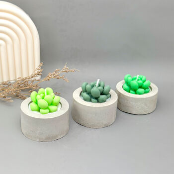 Green Succulent Candles In Handmade Concrete Pots, 11 of 12