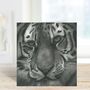 Hercules The Tiger Greeting Card And Envelope, thumbnail 3 of 4