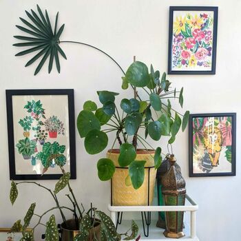 House Plant Print, 7 of 9
