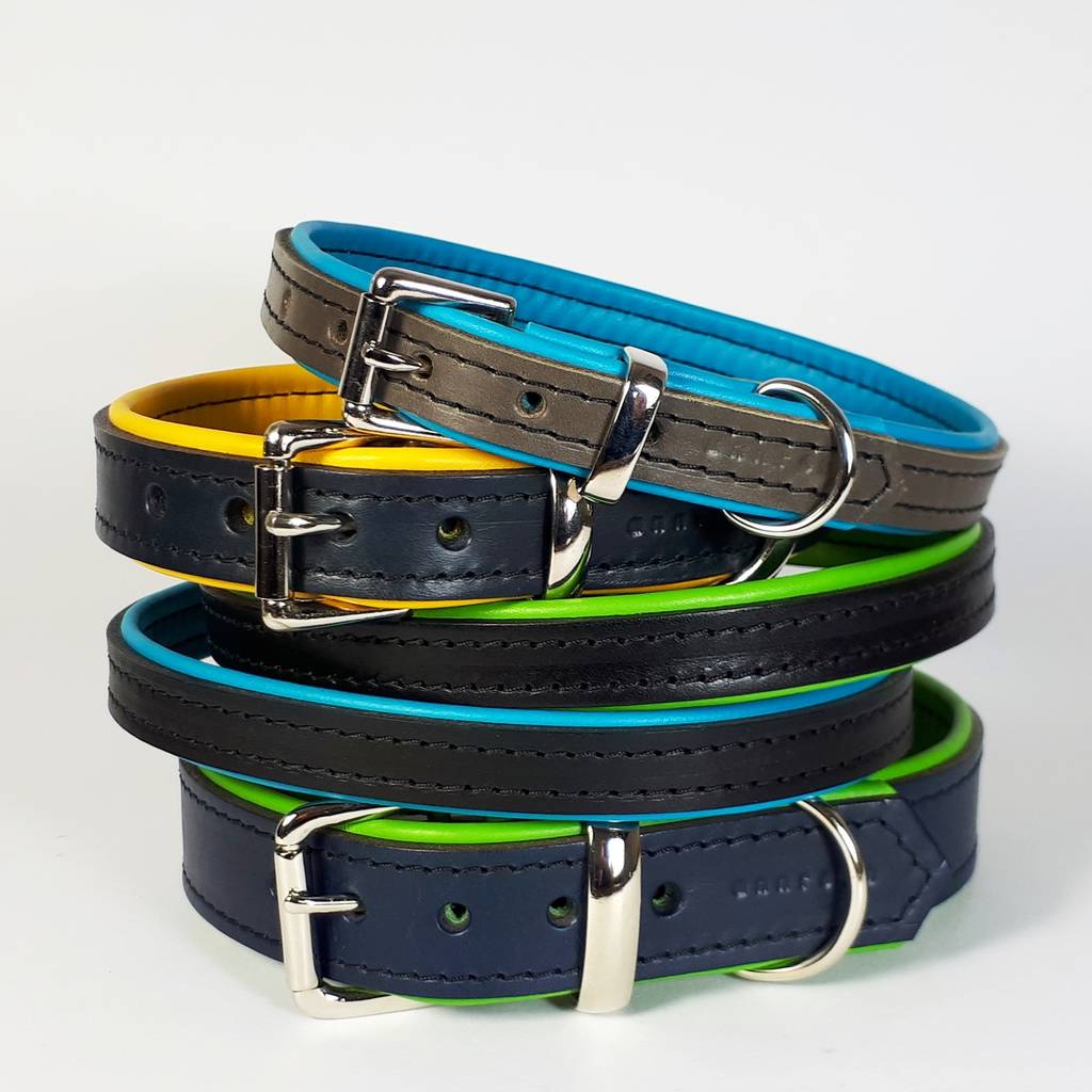padded leather dog collar by annrees | notonthehighstreet.com