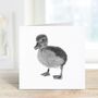 Naos The Baby Duck Greeting Card And Envelope, thumbnail 2 of 4