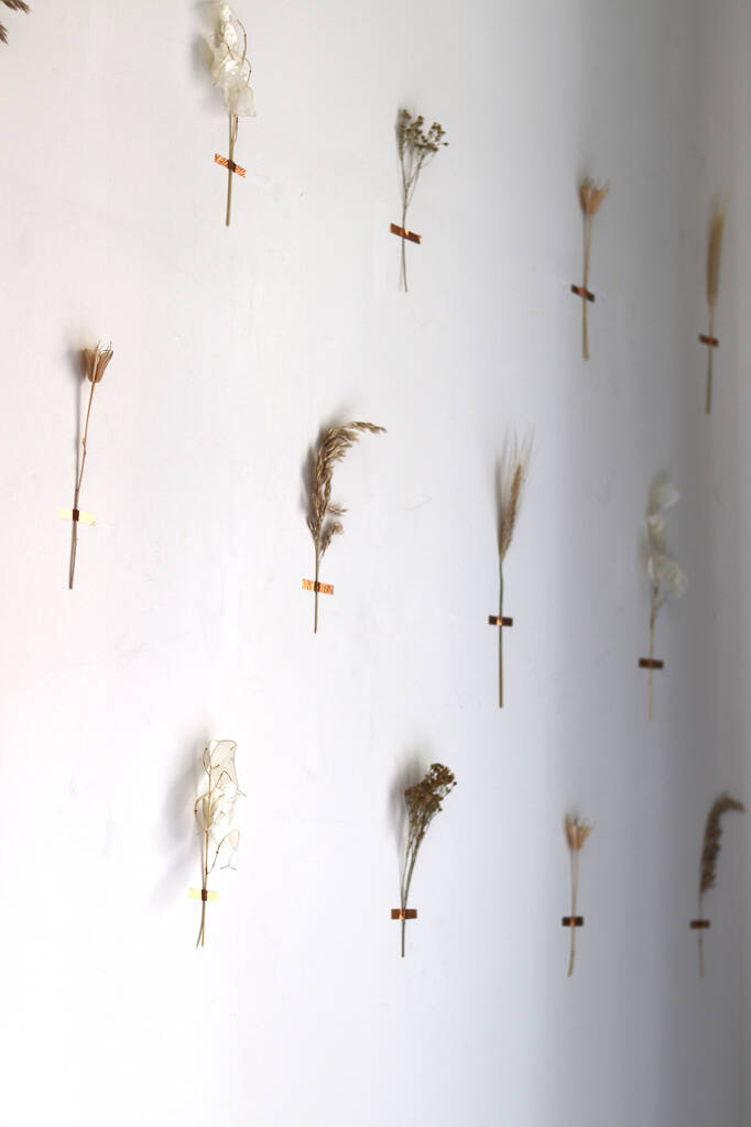 Diy Dried Flower Wall Decor Craft Kit By Sun and Day