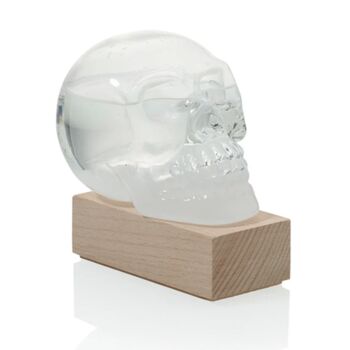 Skull Storm Glass Weather Predictor, 2 of 3