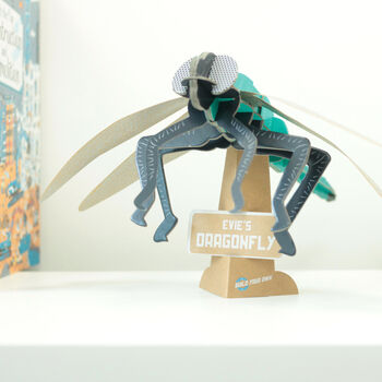Build Your Own Personalised Dragonfly Kit, 3 of 12