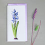 Botanical Card With Hyacinth Illustration, thumbnail 1 of 2