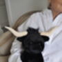 Large Black Longhorn Highland 30cm Cow Plush Toy, thumbnail 12 of 12