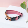 Pink Orange Terrazzo • Padded Dog Collar, thumbnail 1 of 7