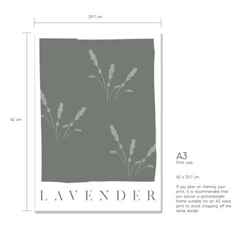 Botanical Lavender Print, 3 of 4