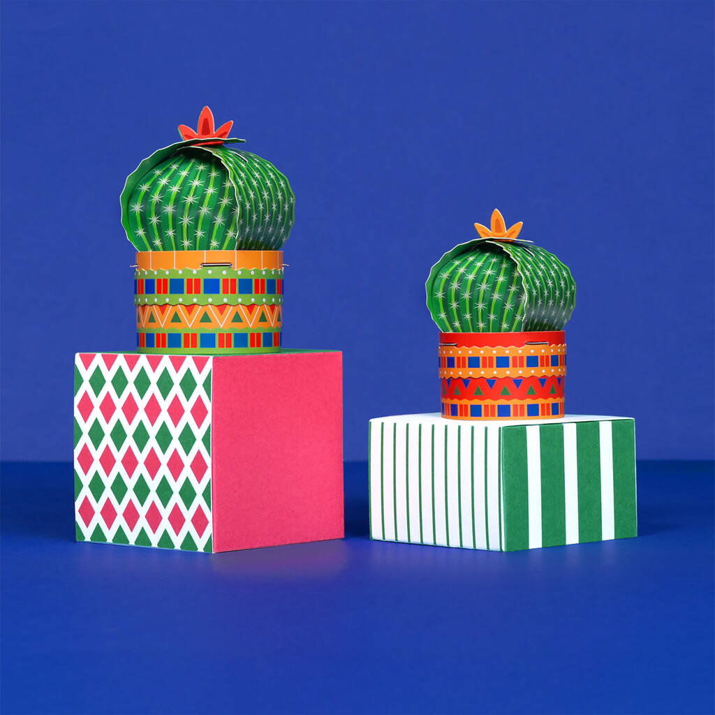 Make Your Own Cute Little Cactus