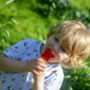 Wooden Ice Cream Cones And Lollies, thumbnail 2 of 7