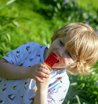 Wooden Ice Cream Cones And Lollies, 2 of 7