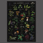 Botanical Wild Food Artwork/Illustrated Foraging Print, thumbnail 11 of 11