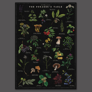 Botanical Wild Food Artwork/Illustrated Foraging Print, 11 of 11