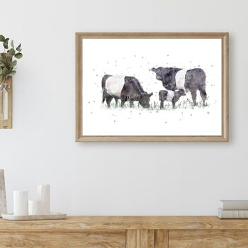 Belted Galloway Cow Print, 2 of 5