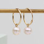 9ct Gold And Freshwater Pearl Hoop Earrings, thumbnail 1 of 3