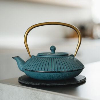 Cast Iron Teapot Linhai 1100ml Steel Fine Mesh Filter, 3 of 12