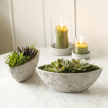 Bloom Oval Concrete Pot, 2 of 4