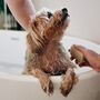 100% Natural Vegan Solid Dog Shampoo Bar, thumbnail 2 of 12