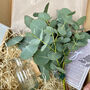 Fresh Eucalyptus Bud Vase Gift Set, thumbnail 5 of 9