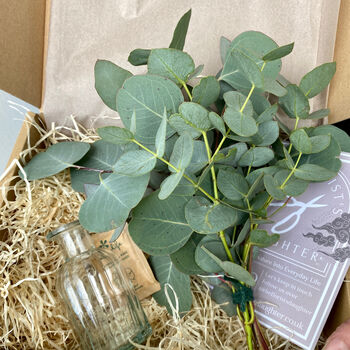 Fresh Eucalyptus Bud Vase Gift Set, 5 of 9