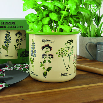 Herbs Enamel Plant Pot, 3 of 5