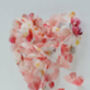 Blossom Coloured 3D Framed Butterfly Heart, thumbnail 3 of 6